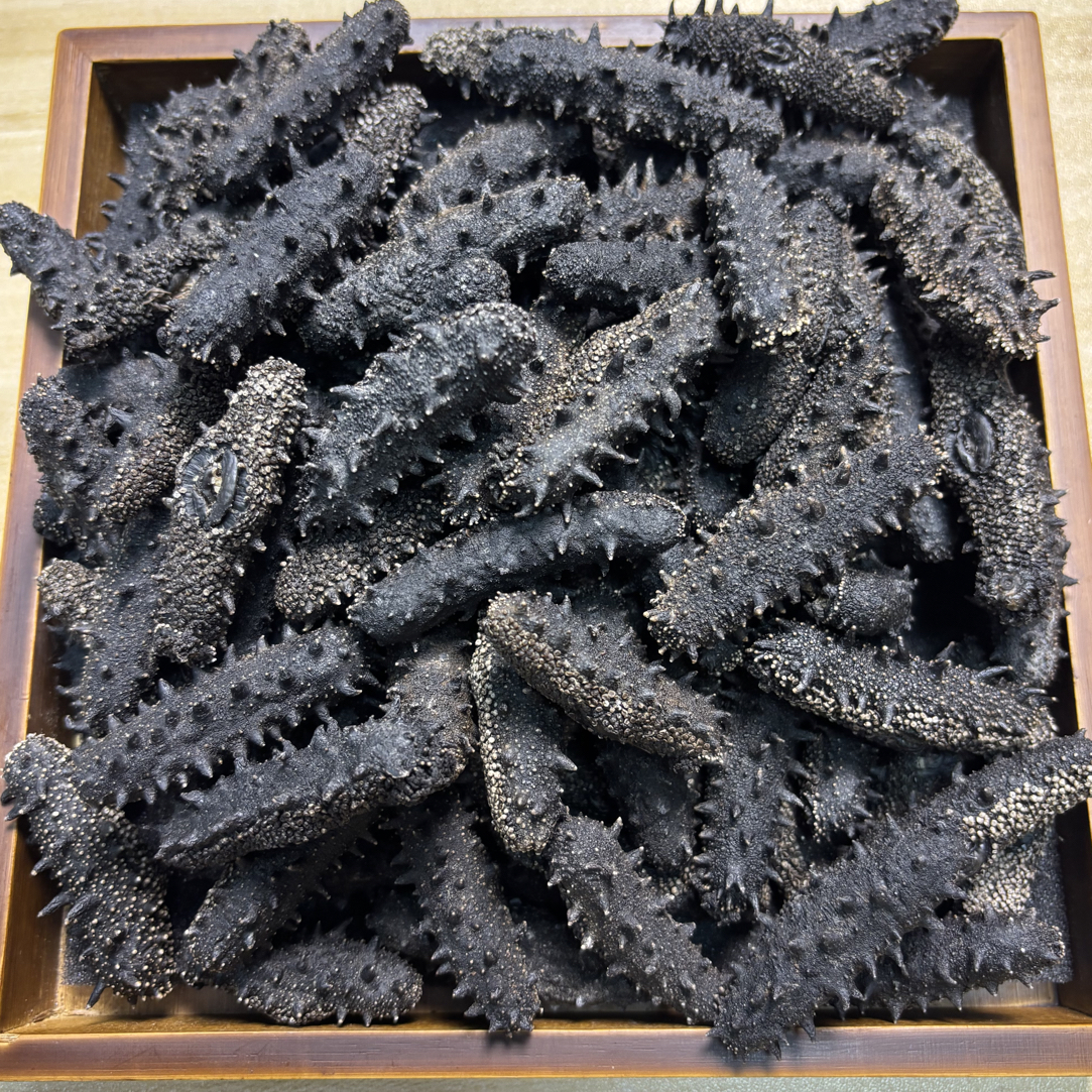 大连国标纯淡干秋参辽刺参高营养滋补佳品