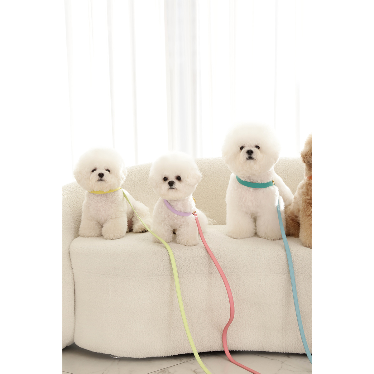 Bobobby小狗胸背皮质牵引绳