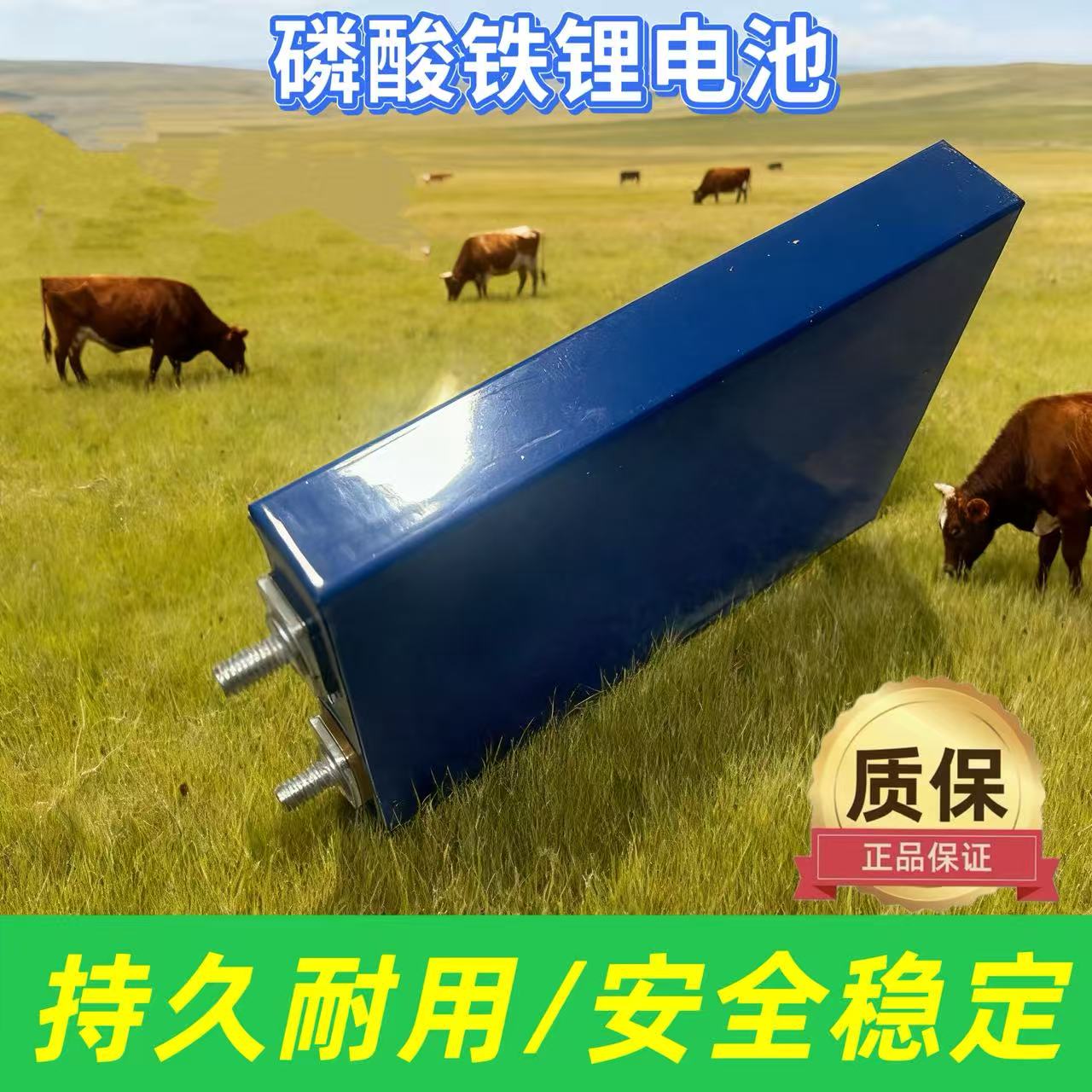 ]磷酸铁锂电芯二轮车电动三轮车电瓶强启搭电宝户外储能电源电池]