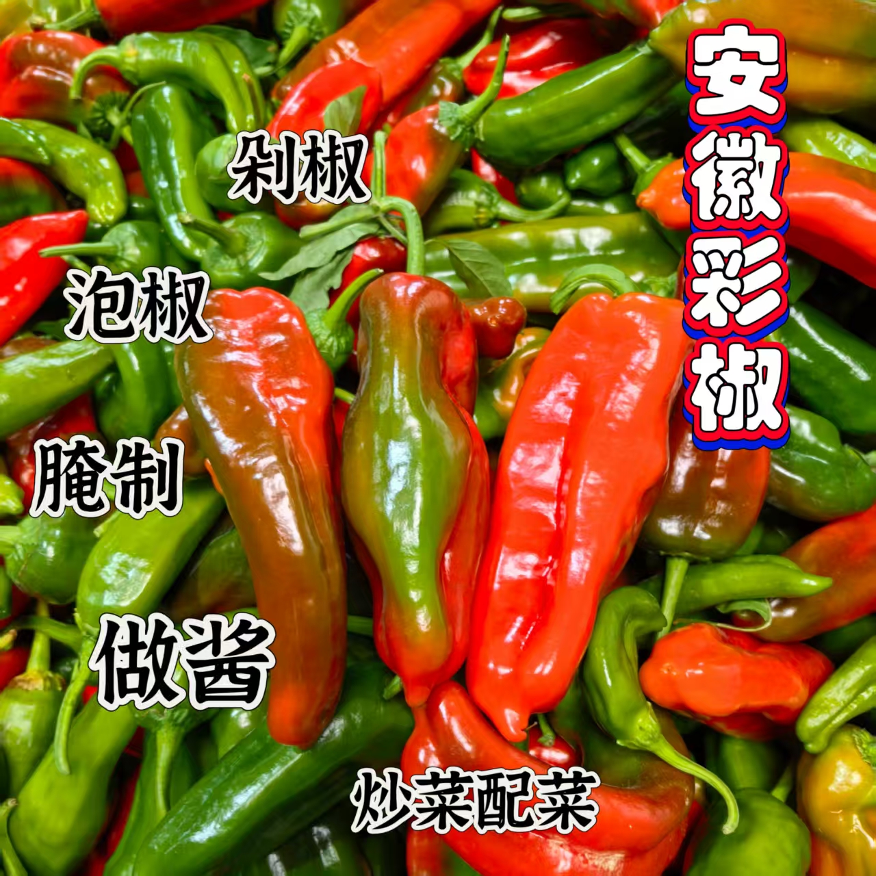 【彩花椒】芜湖农家种植青紫彩花椒彩虹椒新鲜现摘饱满汁厚花辣椒