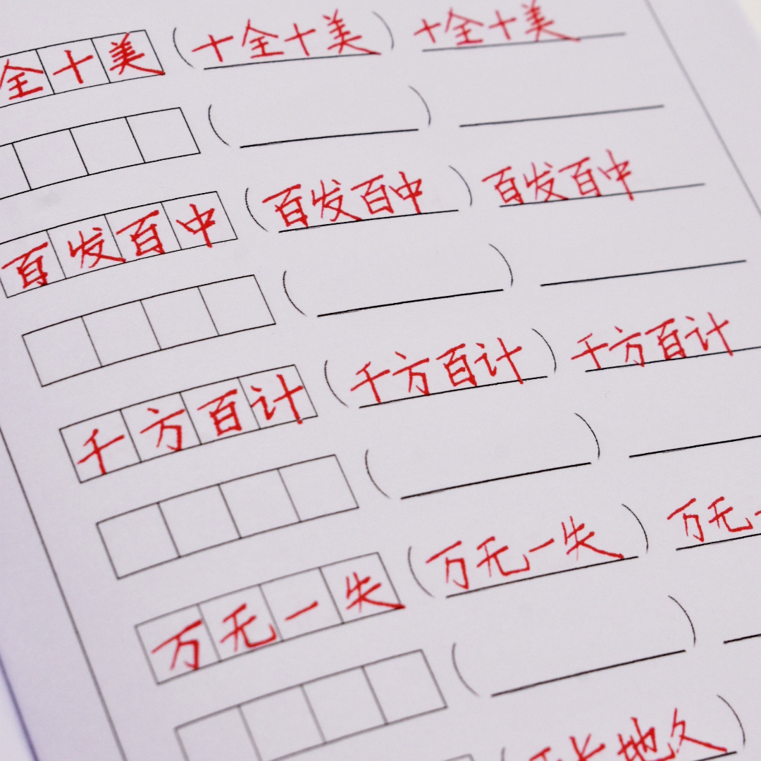 聂老师楷书快写成语卷面综合训练手写常用成语字帖练字帖共24页