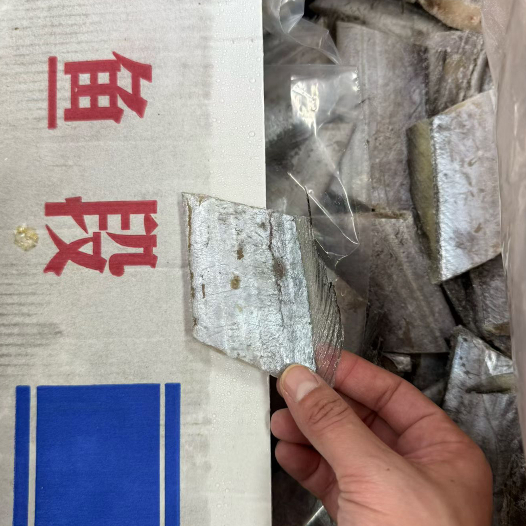 新鲜海捕正宗小眼带鱼段去头去尾中段水产