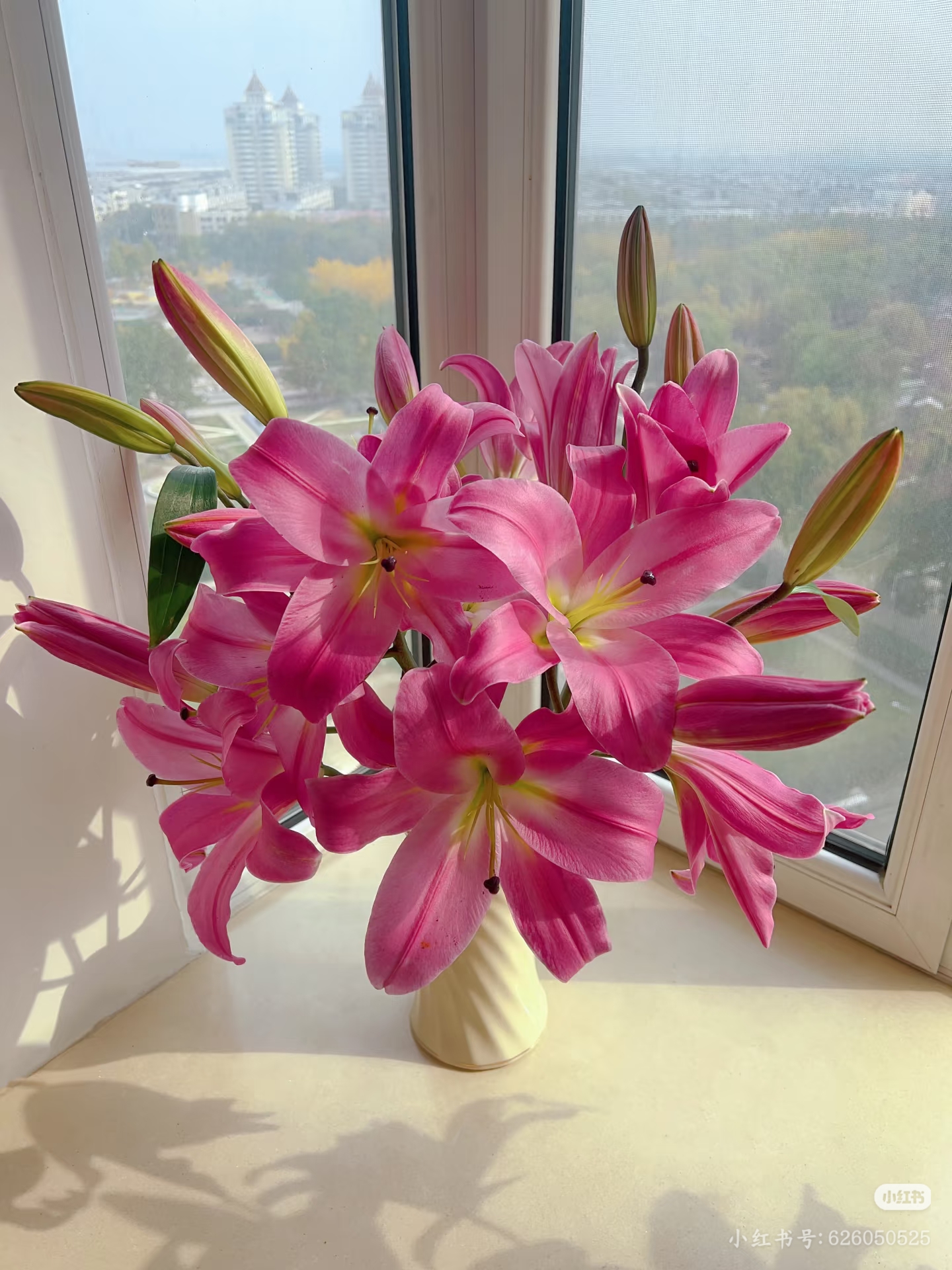 【新疆包邮】5支10朵粉色香水百合 满屋飘香