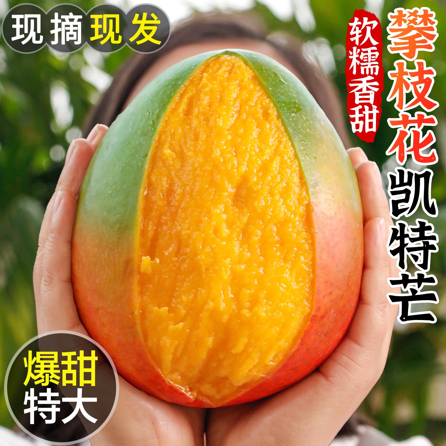 【爆甜芒果】四川攀枝花头茬凯特芒青皮大脸芒果新鲜应季水果 A7