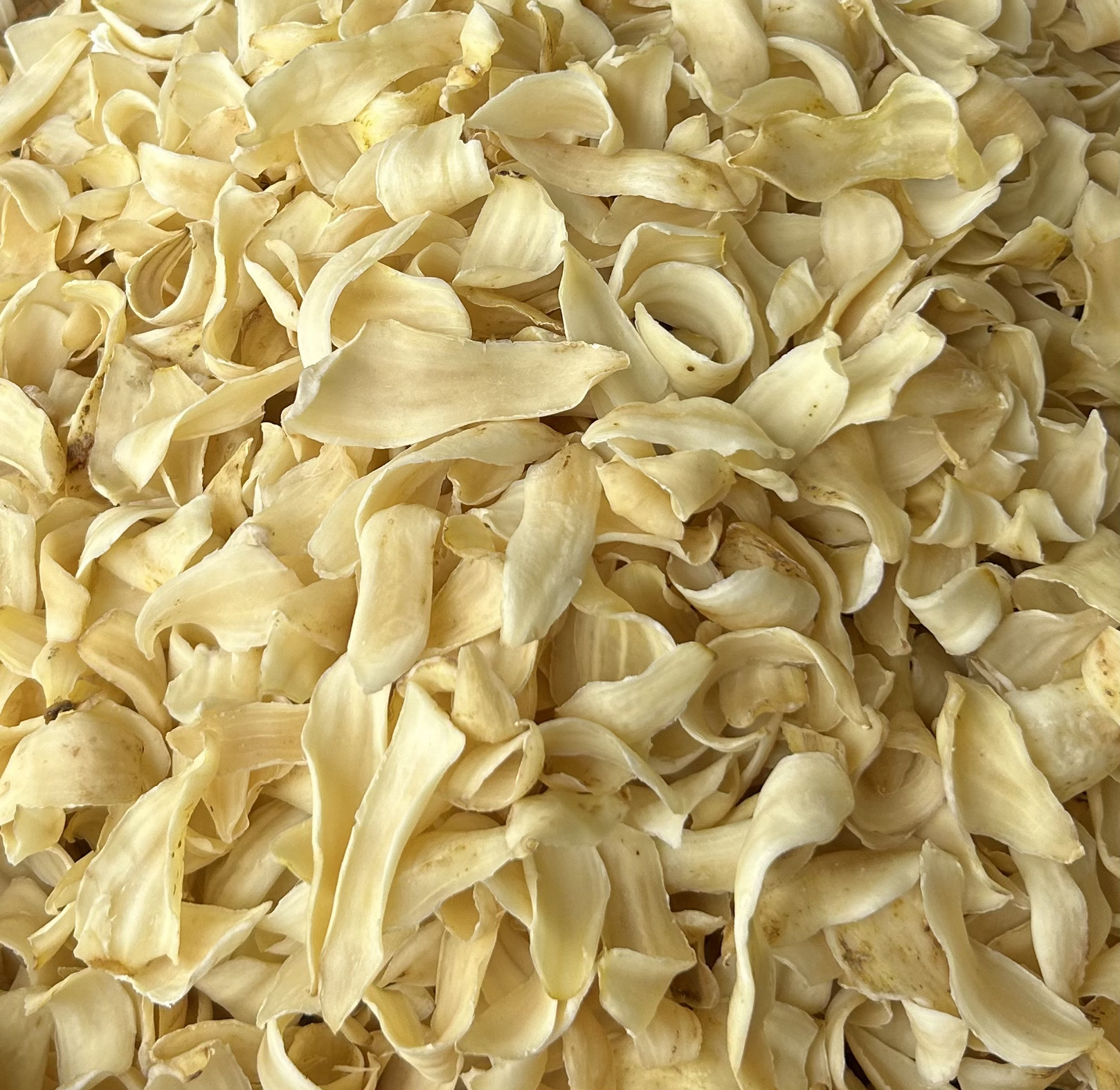 湖南隆回特产2025年新货正宗一级大片无硫熏龙牙百合药食同源