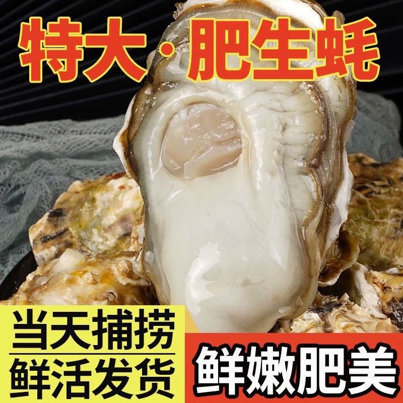 鲜活自助现剥生蚝肉大号乳山生蚝肉海鲜水产一斤顺丰送货上门