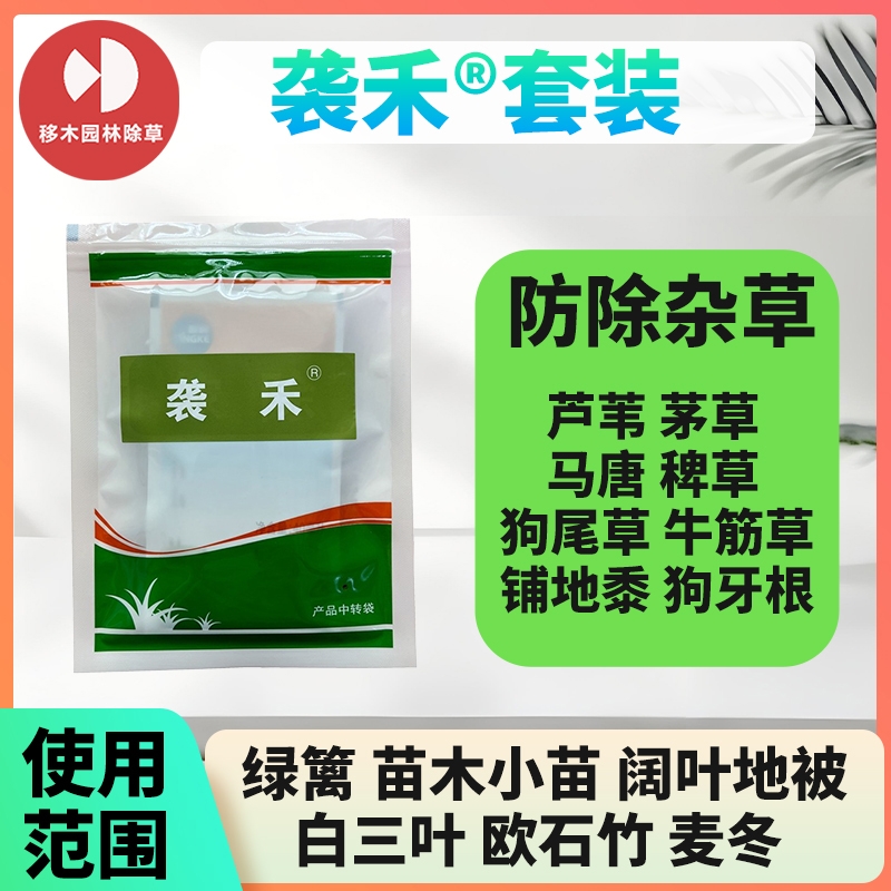 袭禾绿篱苗木麦冬草花黄杨欧石竹杜鹃栀子三叶草红叶石楠除尖叶草