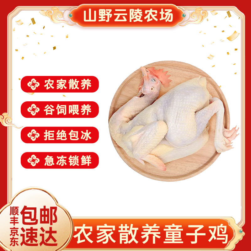 山野云陵农场 散养山林童子鸡800g*3只净膛无内脏 包冰率不含冰