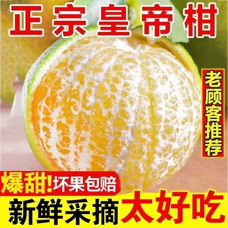 【果园特价】广西正宗皇帝柑新鲜贡柑水果柑橘子沃柑蜜桔沙糖桔薄皮