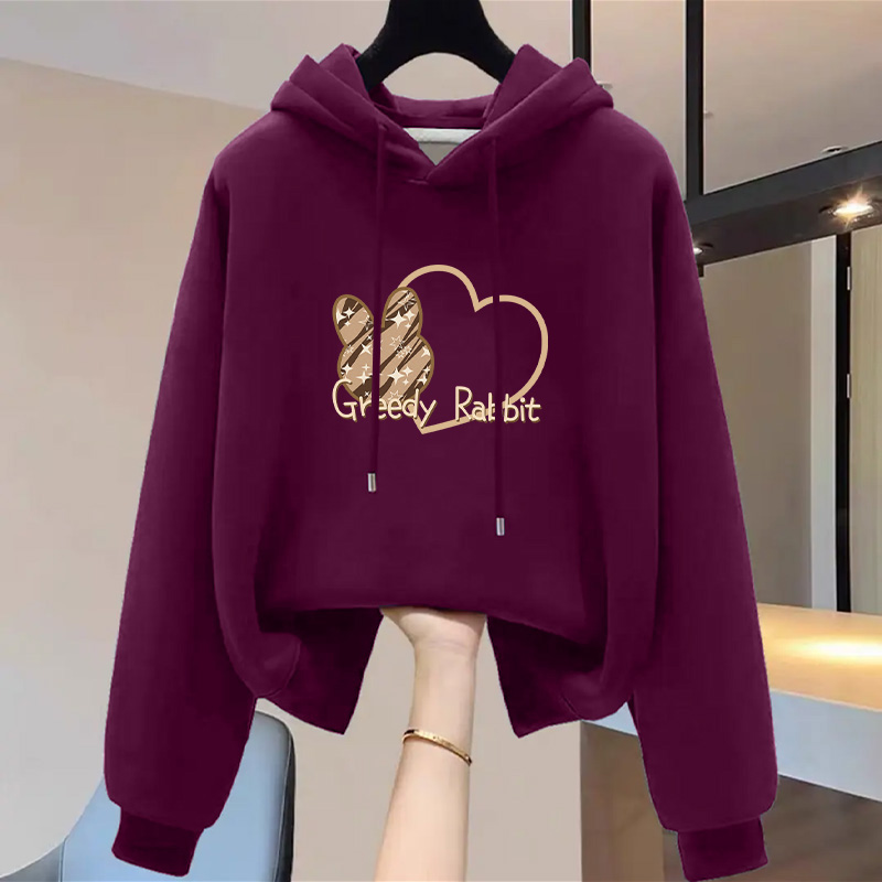 设计感小众秋冬新款2025加绒加厚套头连帽卫衣女常规宽松韩版外套