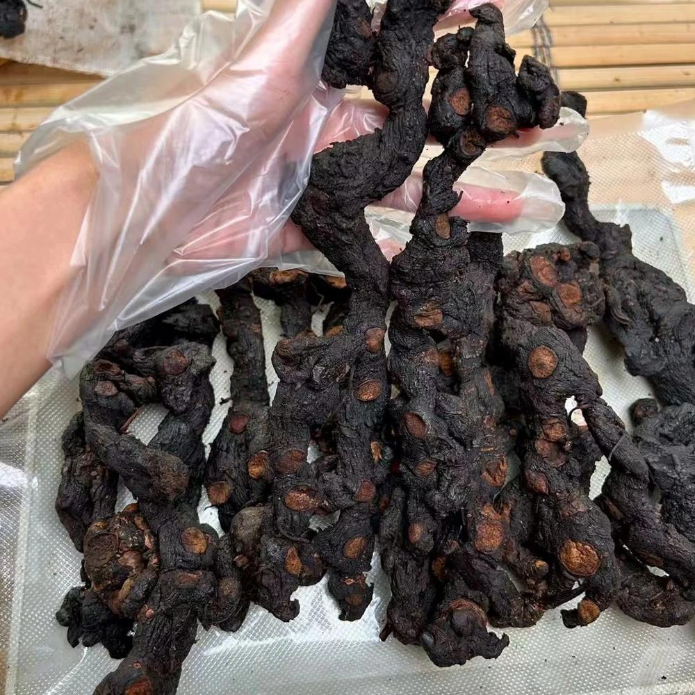 【多花黄精】云南大山下山货多花黄精  仙人余粮  食用农产品 6A3