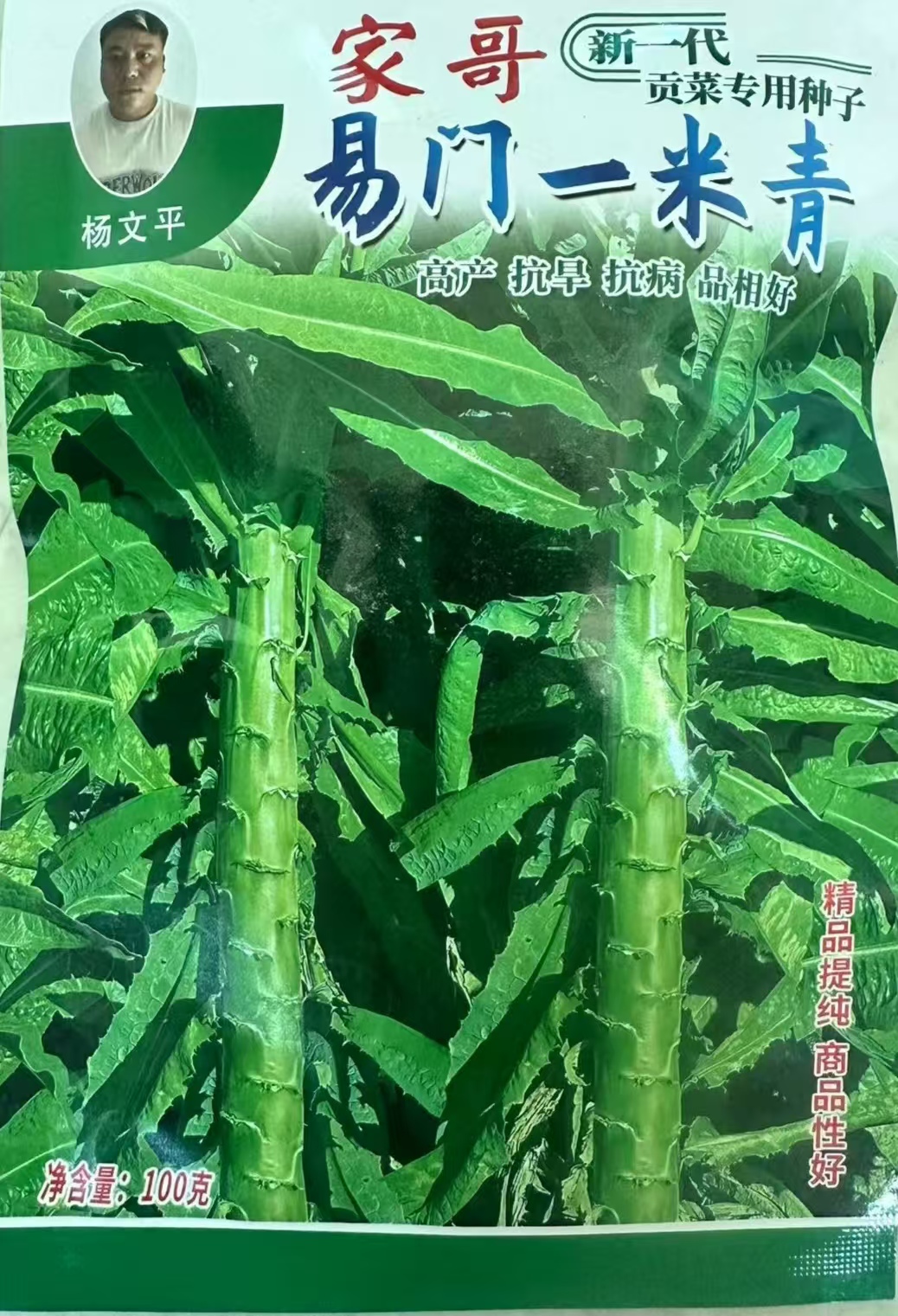 云南贡菜种子家哥易门一米青中叶子（100克净重 新一代 皮薄高产 ）