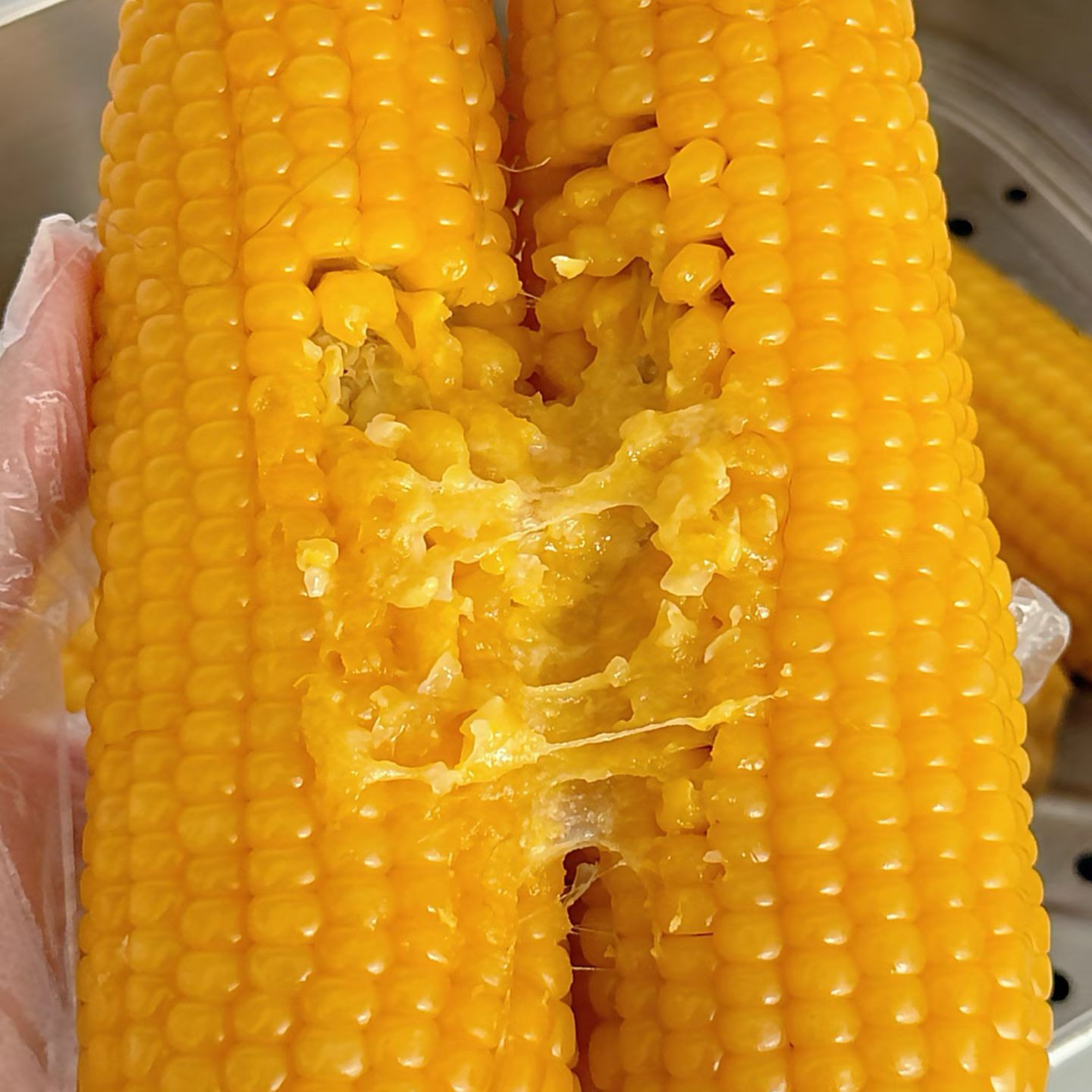 黑龙江黄糯玉米真空锁鲜软糯香甜