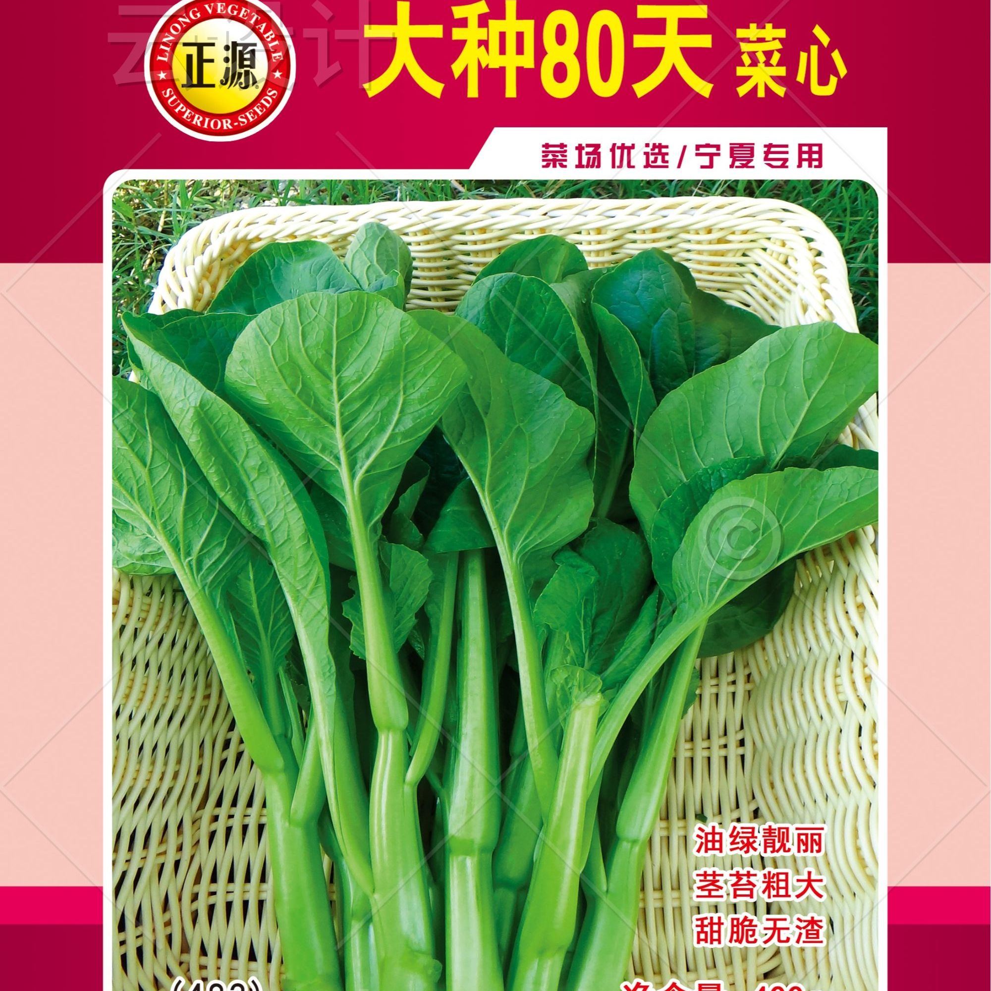 和利农正源大种80天菜心种子蔬菜种籽青菜抗病盆栽耐热春秋高产