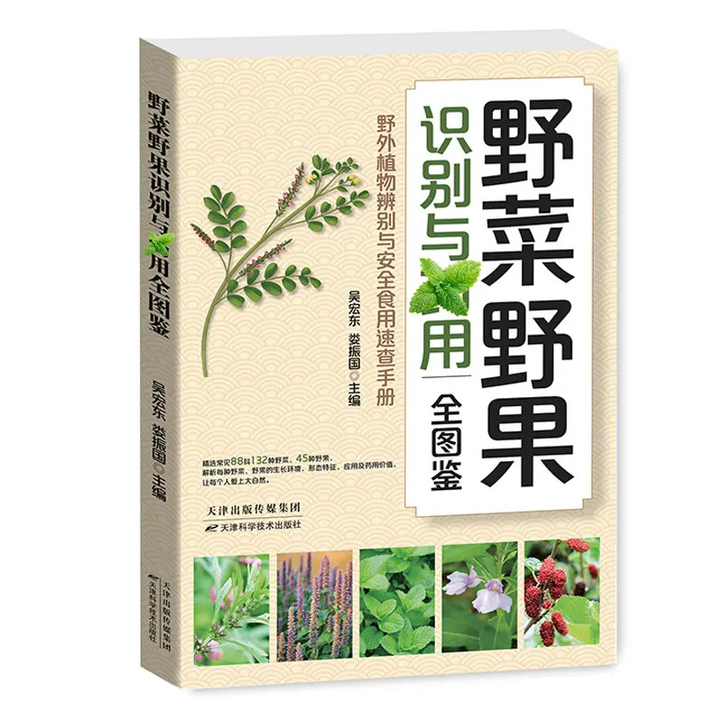 野菜野果识别与药用指南 户外采摘野菜野果的种类和功效图鉴书籍B