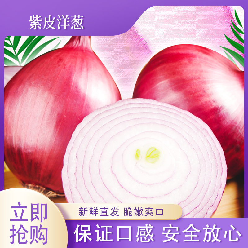 【买五斤送五斤】新鲜现挖紫皮洋葱可生吃炒菜凉拌的水果洋葱11