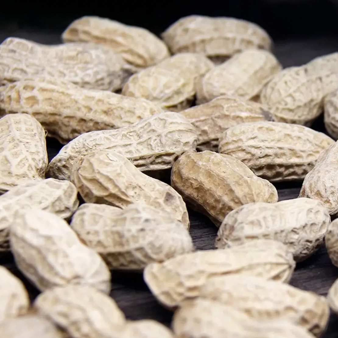 舟山岱山沙洋晒生