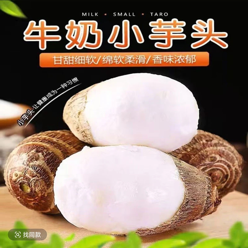 贵州牛奶芋头芋艿新鲜应季现挖现发产地直发香甜软糯芋头