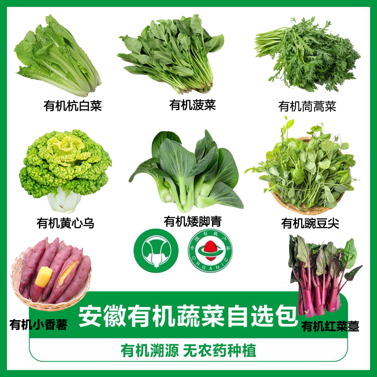 有机蔬菜自选套餐顺丰当季新鲜有机蔬菜现摘蔬菜青菜小青菜乌塌菜