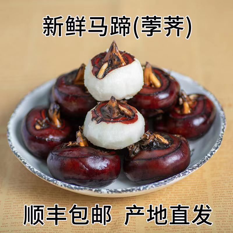 新鲜马蹄荸荠地栗地梨现挖现发带泥发货3斤/5斤【顺丰包邮】