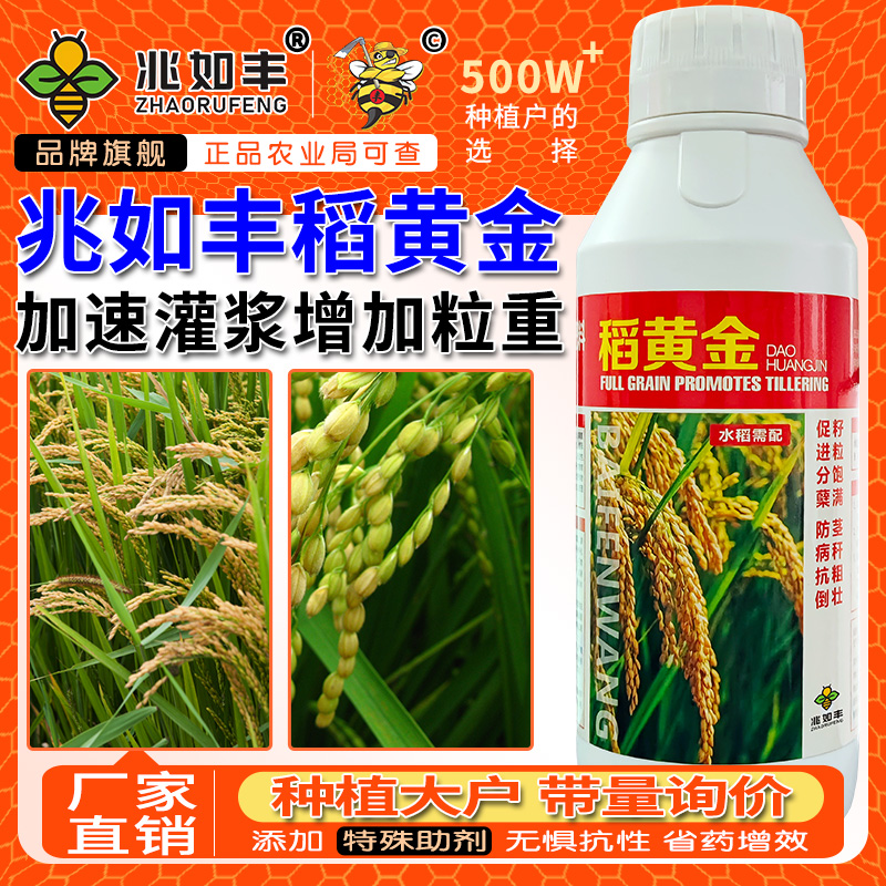 兆如丰稻黄金水稻叶面肥黄金稻粒粒饱抗倒抗病促灌浆分蘖增产肥料