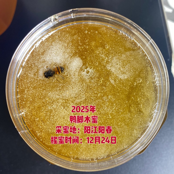 1000g冬蜜鸭脚木2025年新蜜全年采蜜广东阳春深山自然成熟42.5度