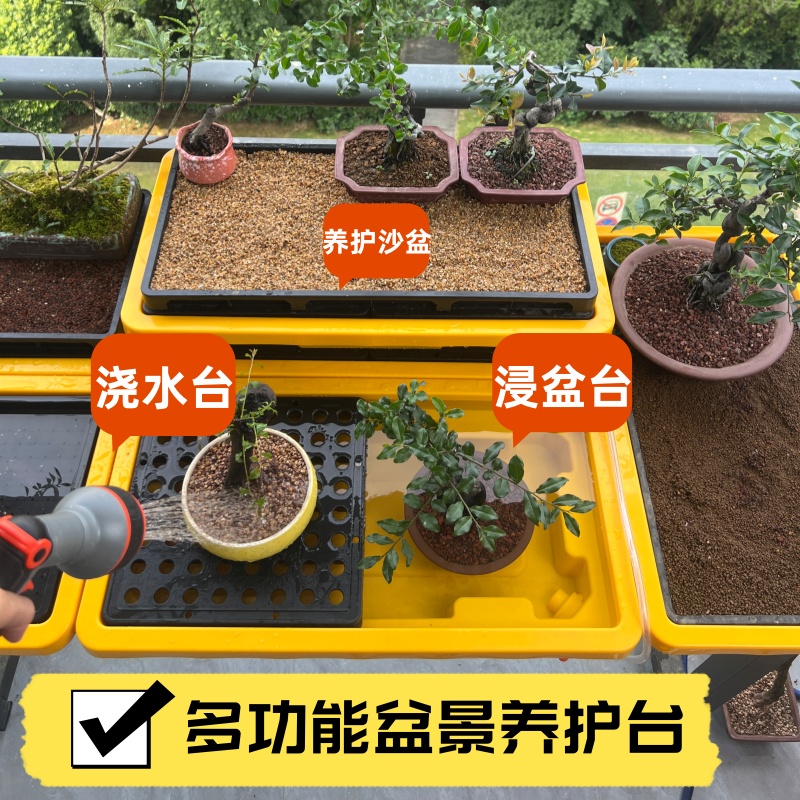 盆景保湿沙盆浸盆浇水湿度增加复壮促生根防寒花棚暖房保温罩