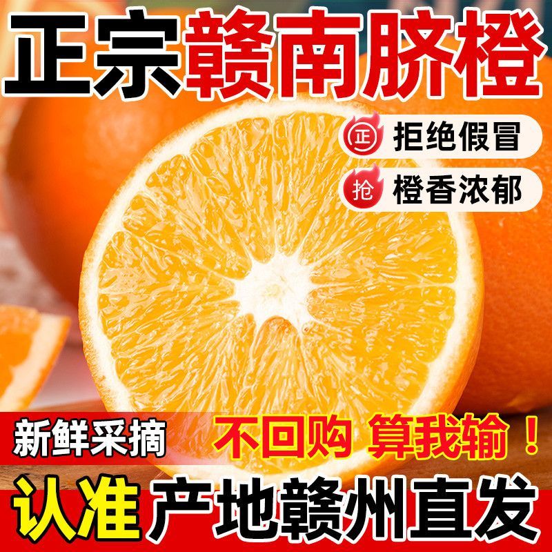 【五斤大果福利】赣南信丰脐橙子正宗江西当季赣州中华橙子现摘水果