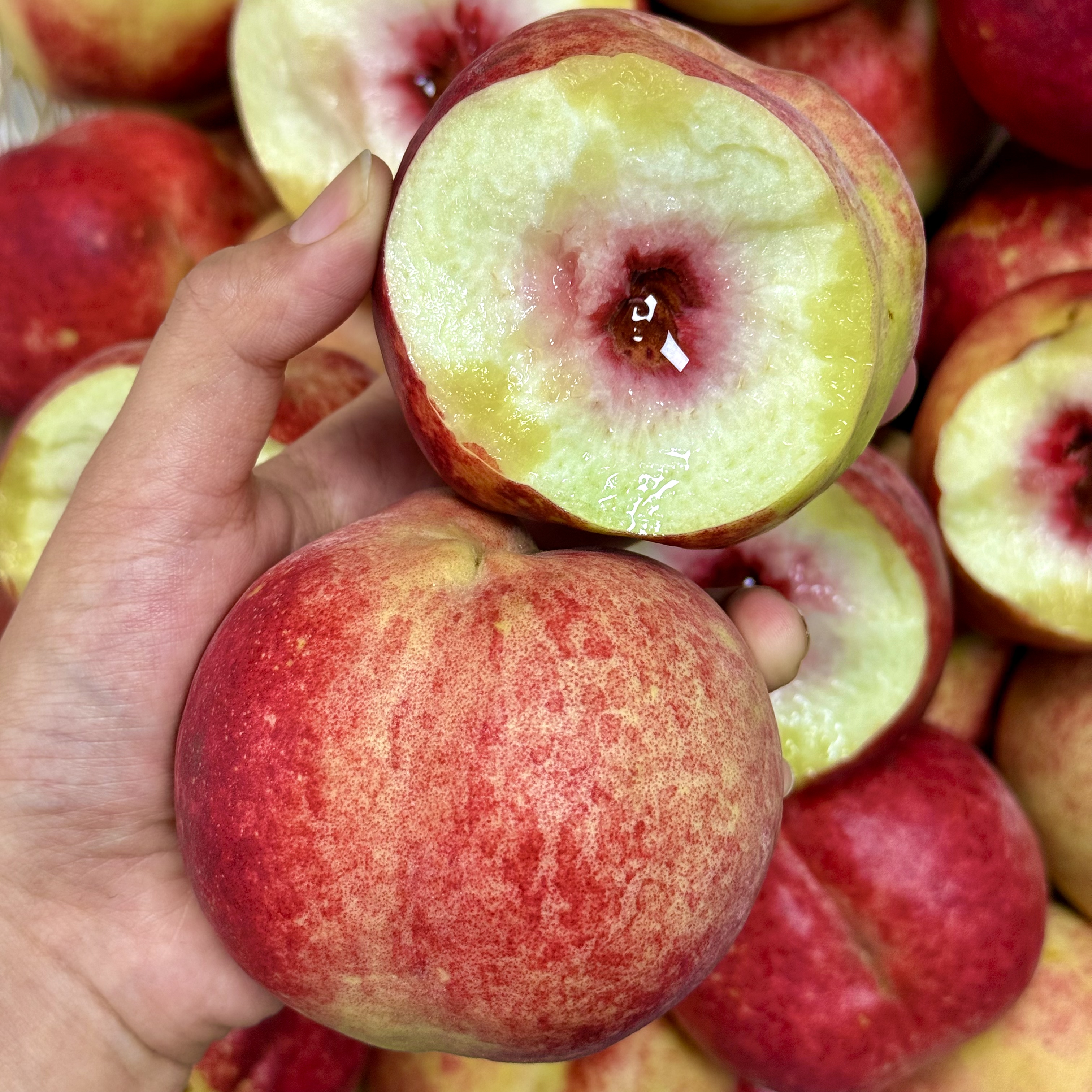 【脆甜多汁】云南高山大理冬桃 新鲜水果 现摘现发 桃香浓郁 净5斤