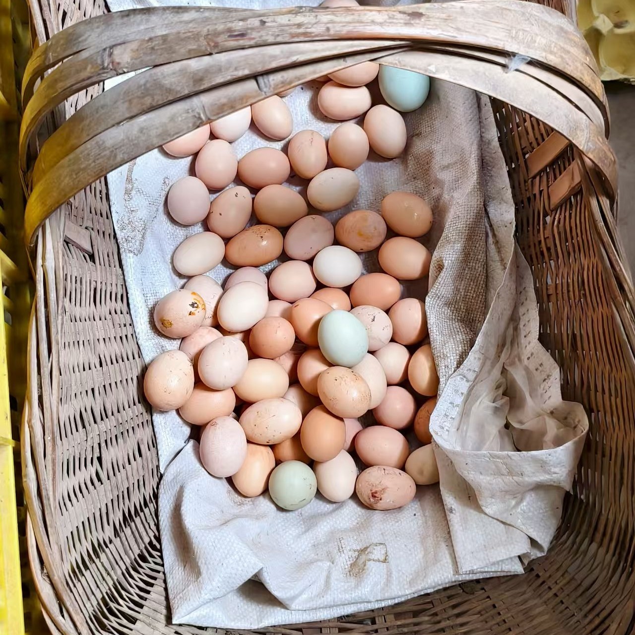 湖北襄阳正宗农家散养土鸡蛋乌鸡蛋混合装新鲜健康