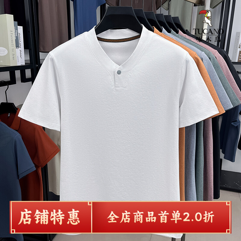 啄木鳥体恤衫T恤上衣百搭男士短袖t恤男tins高级感舒适打底休闲
