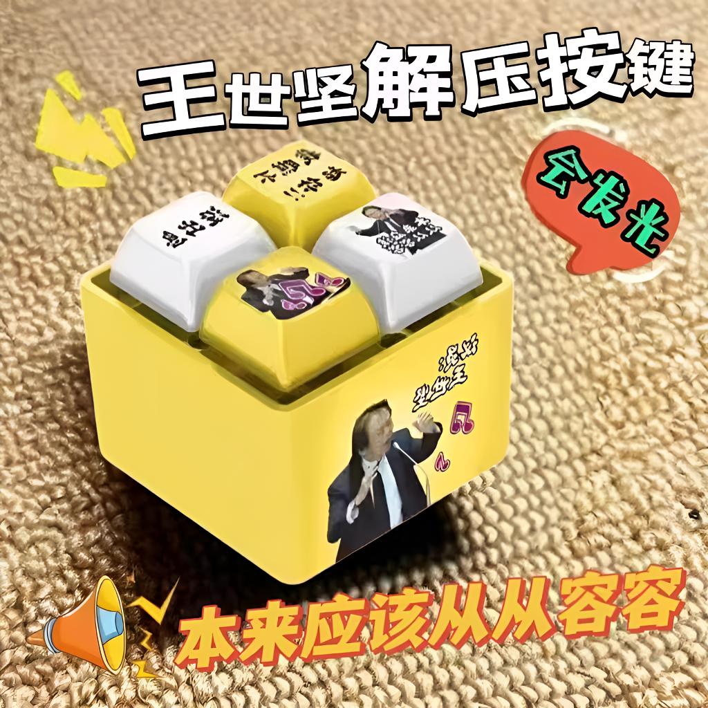 没出息王世坚按键本来应该从从容容游刃有余发光语音挂件钥匙扣