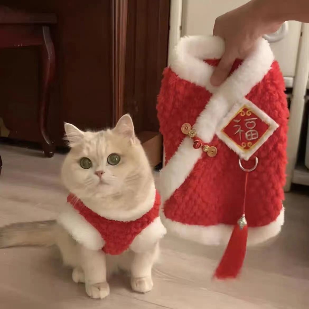 猫咪新年衣服秋冬装可爱ins蓝金渐层布偶猫蓝猫红色过年喜庆FPQ