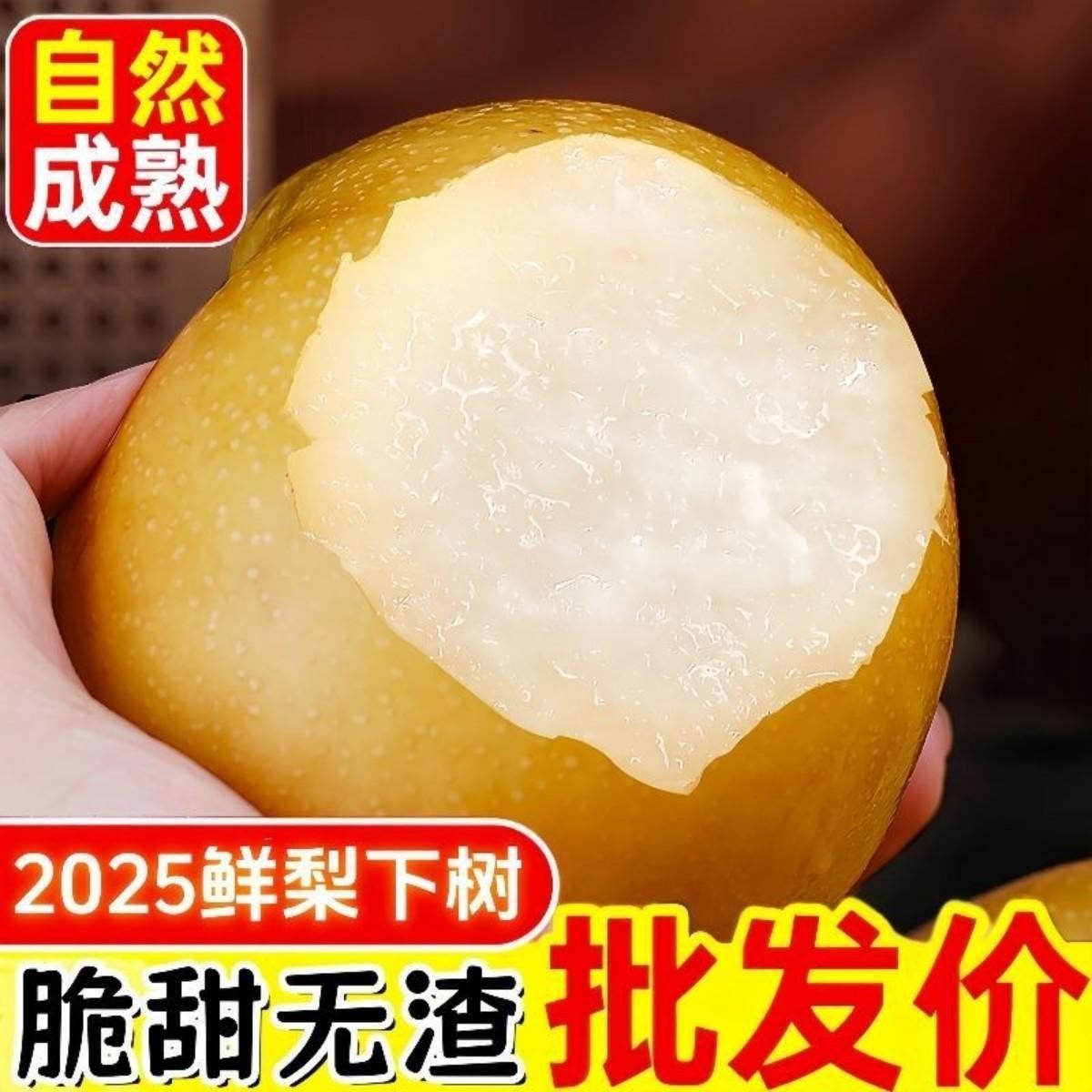【10斤特大果】正宗秋月梨羊脂冰糖蜜多汁梨新鲜水果整箱5/9斤Q