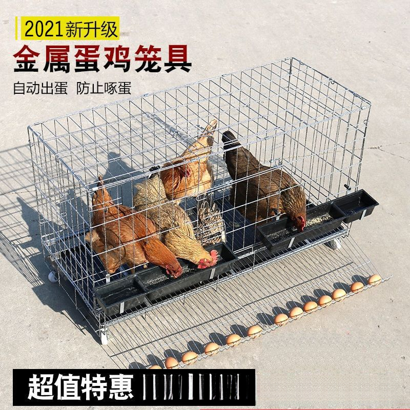 新疆包邮鸡笼子家用大号包邮养殖笼家用养鸡笼子自动滚蛋鸡笼子蛋