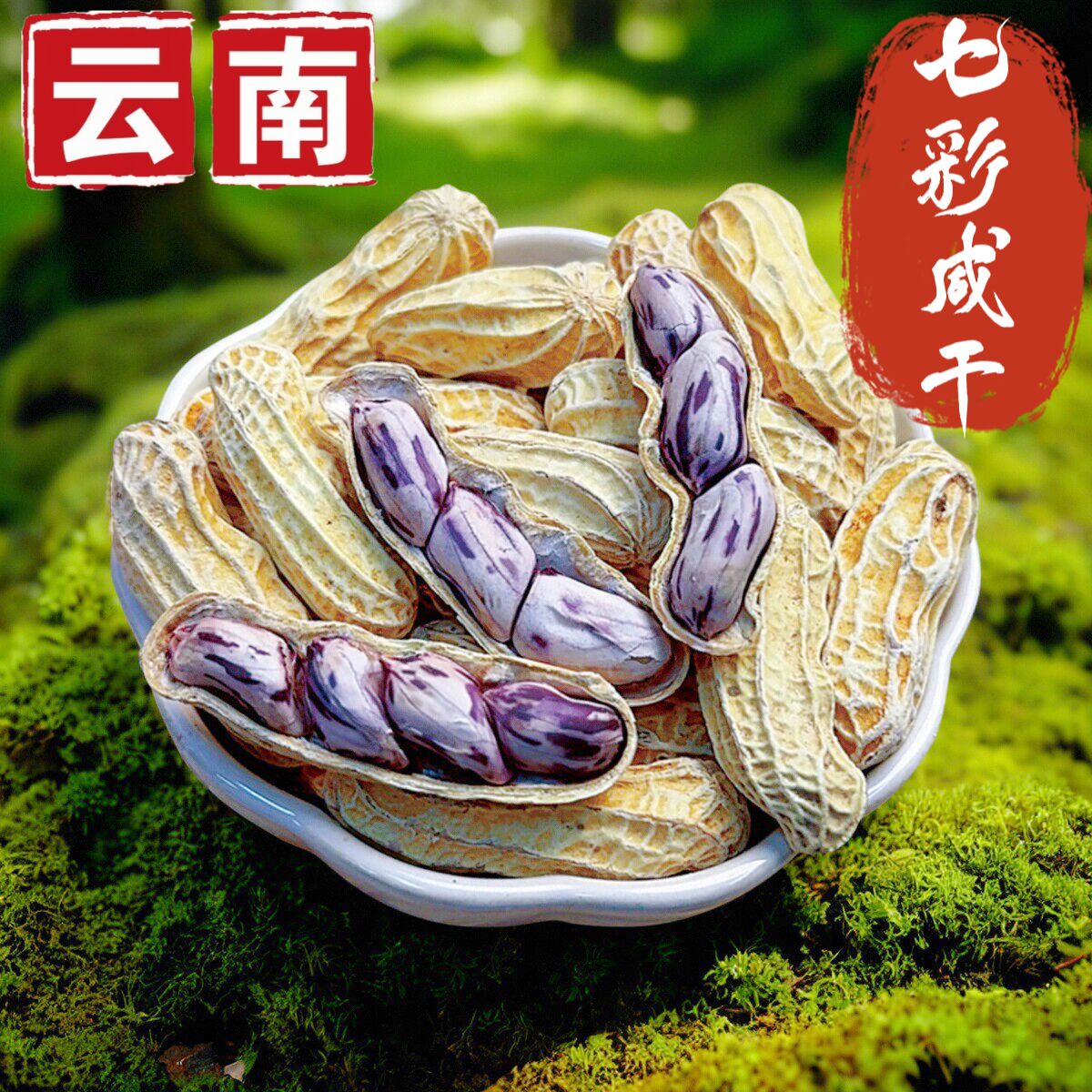 【特大颗粒】云南七彩花生水煮咸干咸香酥脆带壳熟野地花生露营野餐