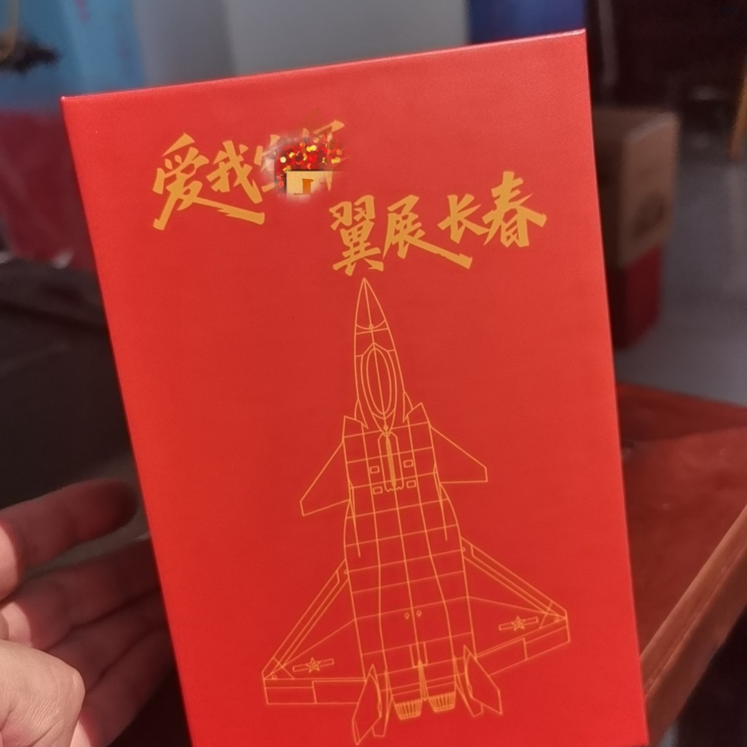 翼展长春航展纪念歼20纪念飞机