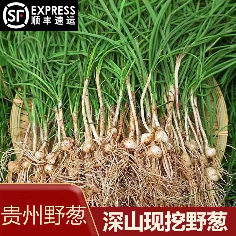 【顺丰优选】贵州野葱新鲜野香葱野蒜小根蒜野胡葱香葱小葱现挖现卖