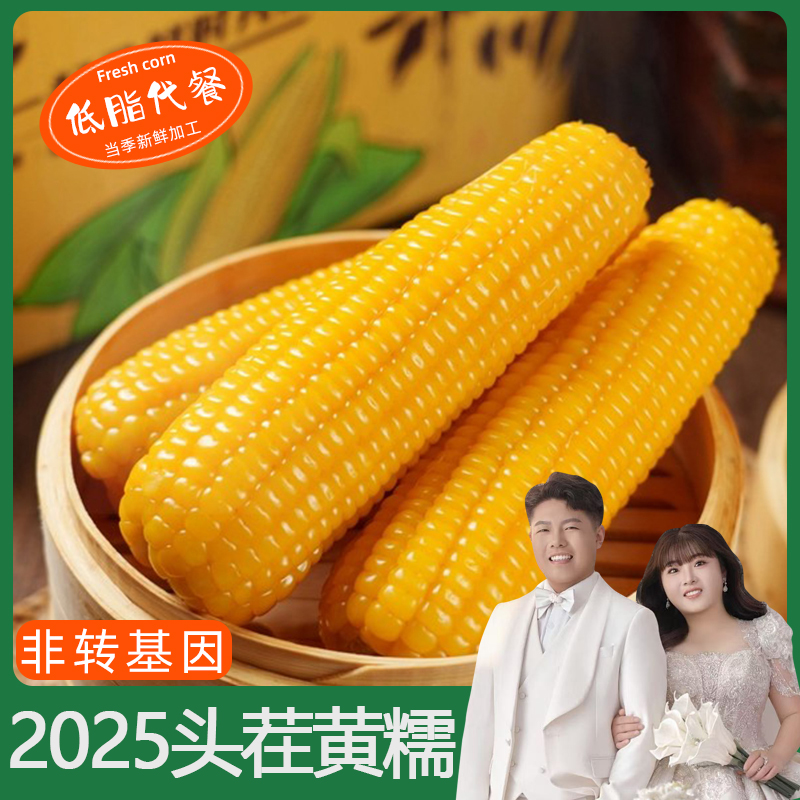 山西黄糯玉米10根270-320克/根可试吃2根软糯粘香非转基因