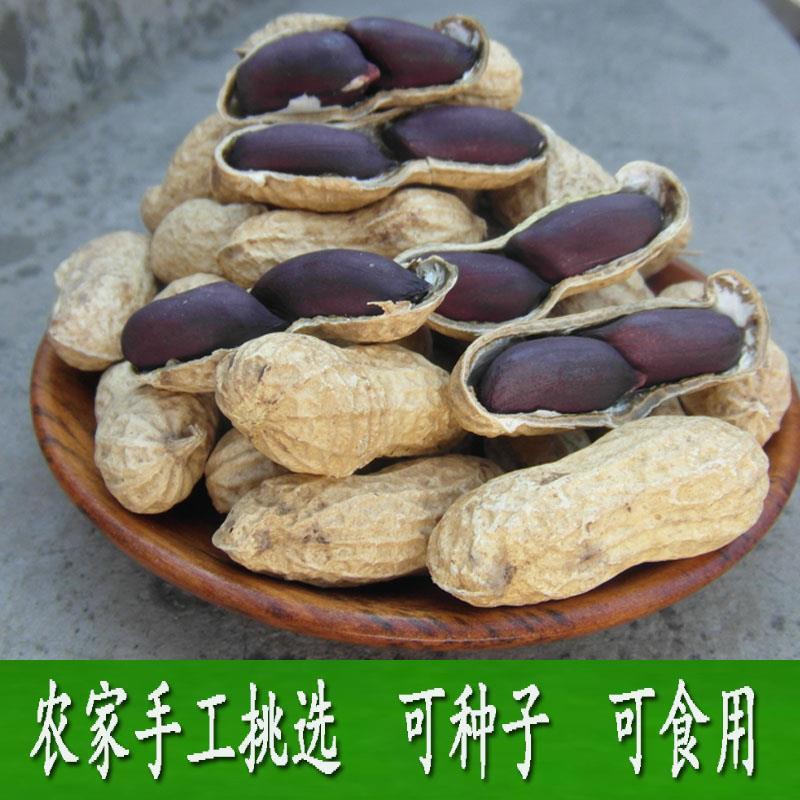 黑花生种籽23年农家自种新生带壳富硒可食用可种子米包邮