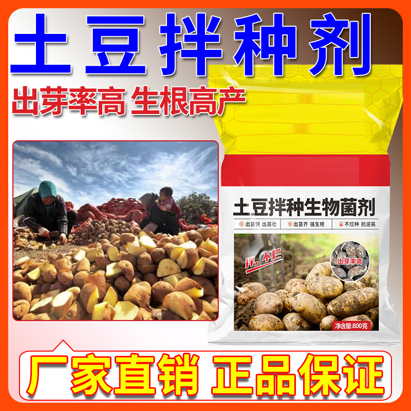 土豆拌种剂升级高出芽率生根壮苗不烂种高产包衣微生物菌剂