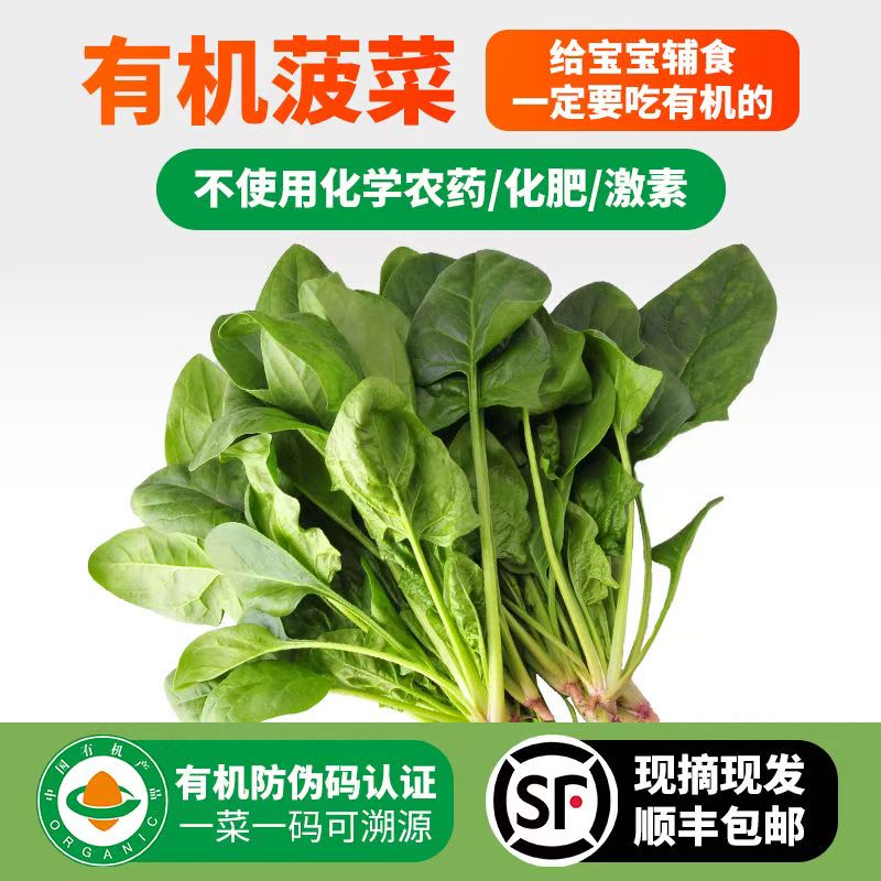 【阿斌生鲜专属】顺丰包邮蔬菜有机菠菜新鲜包邮