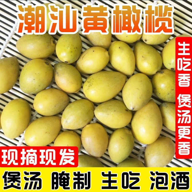 潮汕本地老树香种黄橄榄檀香黄橄榄生吃煲汤泡酒香种橄榄潮汕甘香