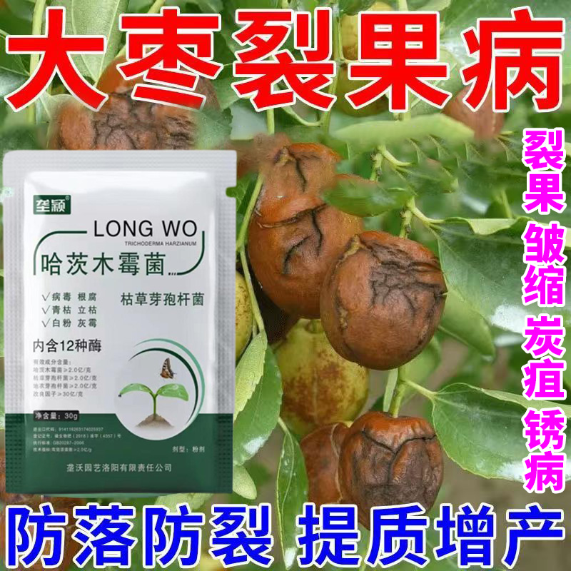 大枣裂果病枣疯病缩果病小叶卷叶专用微生物肥料修复增产不伤果实