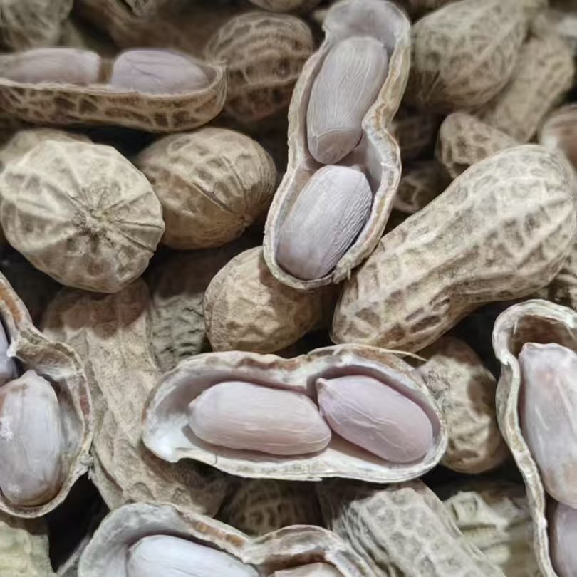 福建惠安特产水煮日晒花生美味即食休闲零食500g