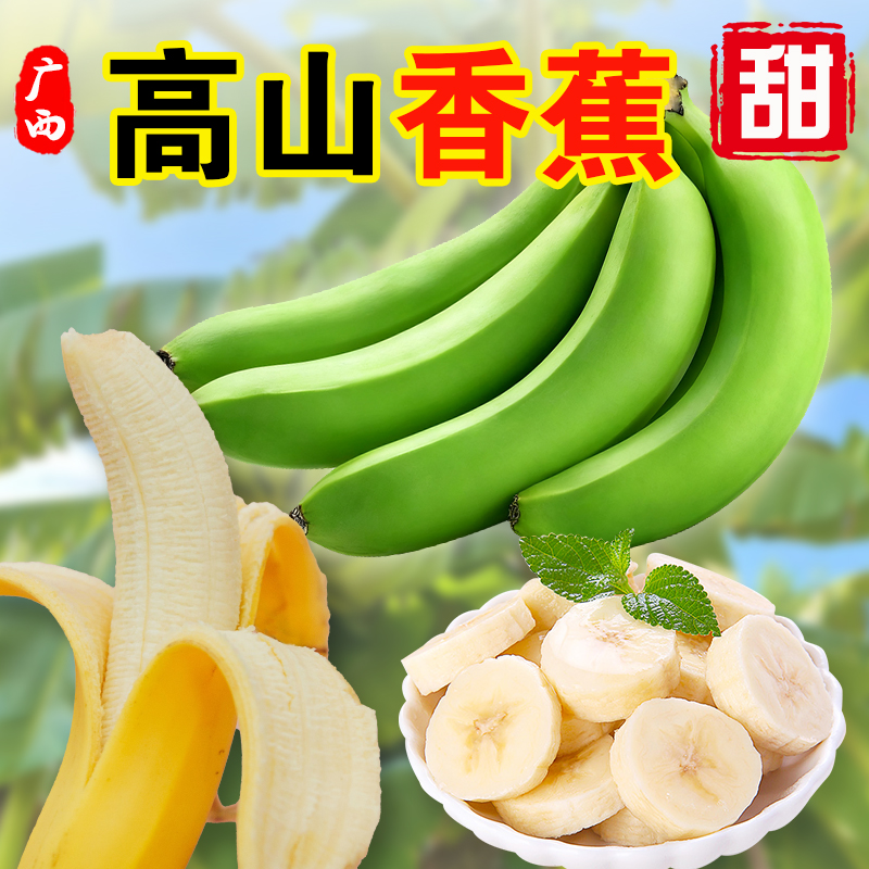【精选单根】广西高山甜香蕉青皮威廉斯香蕉自然熟软糯香甜新鲜水果