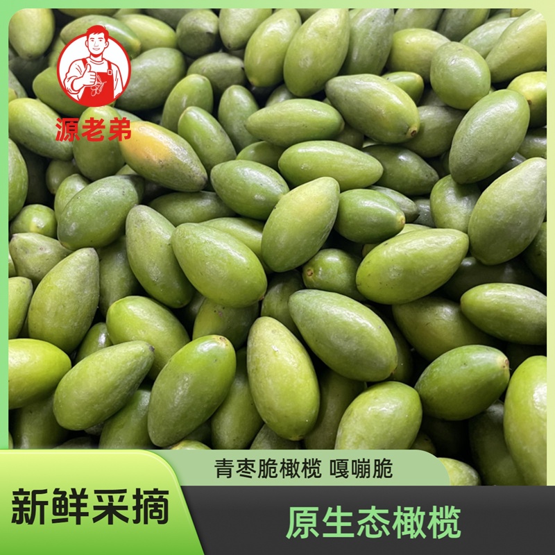 源老弟青枣脆橄榄新鲜现摘潮汕橄榄煲汤腌制生吃一斤装