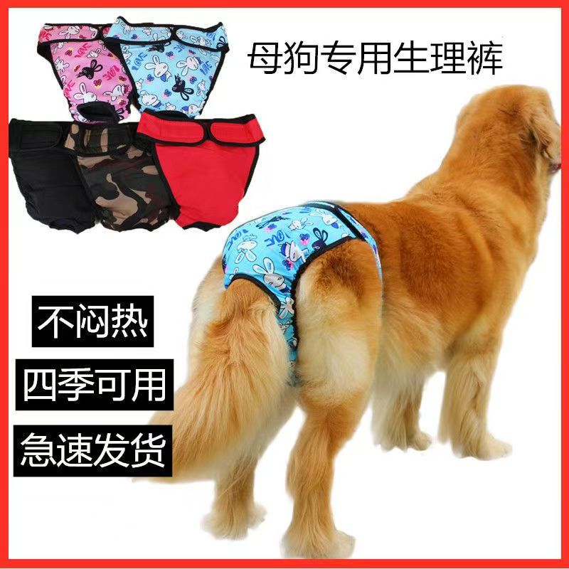 大狗生理裤防骚扰夏季薄款卫生裤金毛大型犬狗狗姨妈期生理裤