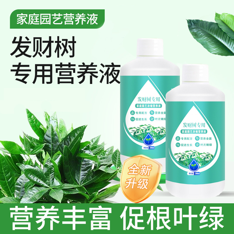 发财树营养液专用肥黄叶烂根急救水培绿植物家用盆栽通用养花肥料