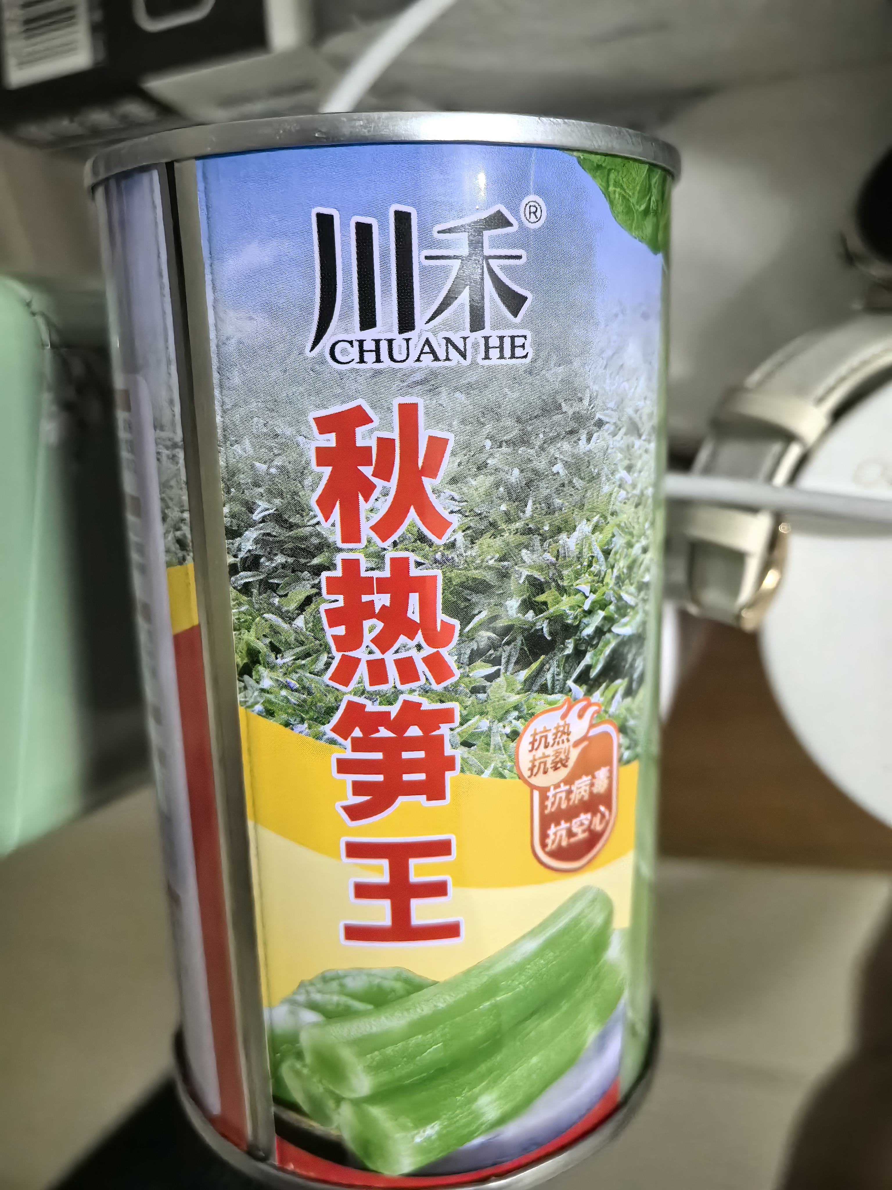 秋热笋王，抗热、抗裂、抗病毒、抗空心